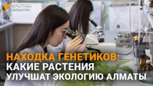Алматинские ученые придумали способ улучшить экологию мегаполиса