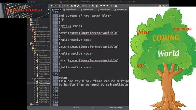 Java Coding-Exception Handling with Example