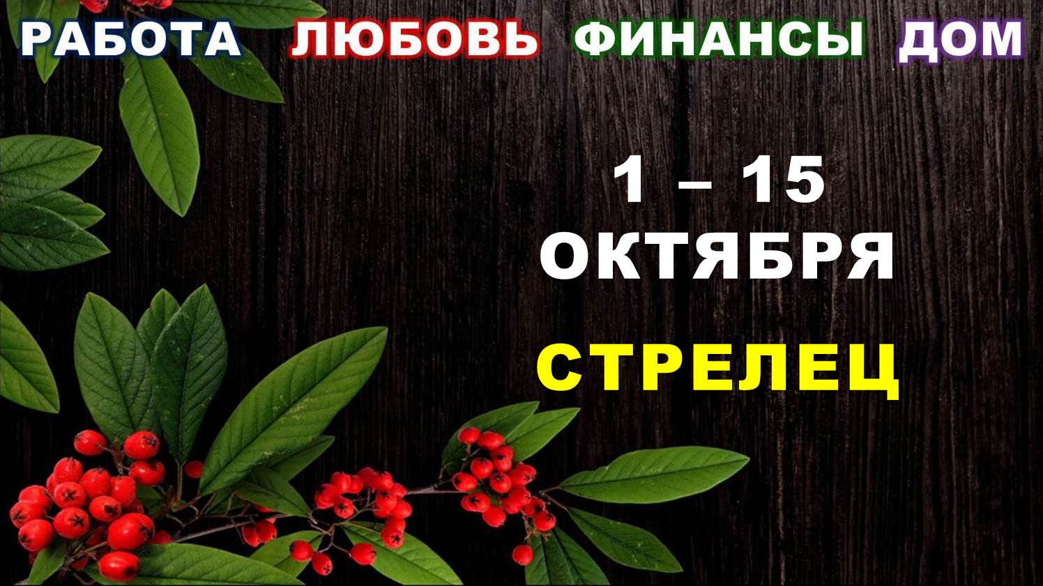 ♐ СТРЕЛЕЦ. ? С 1 по 15 ОКТЯБРЯ 2023 г. ✅️ Главные сферы жизни. ? Таро-прогноз ?