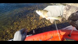 ПЛАТНАЯ РЫБАЛКА на ХАРИУСА- и такое бывает | НИЖНЯЯ ТЕРСЬ | SOLAR-470 | В ТАЙГЕ