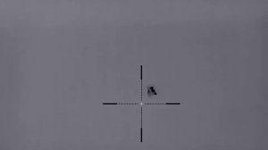 Охота на косулю. Тепловизор iray rico 42 rlf. Дистанция 55 метров.