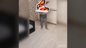 Первые работы