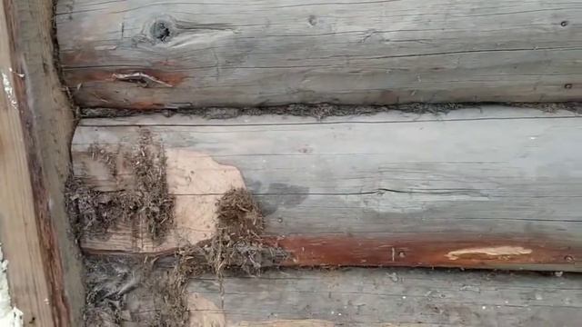 Ремонт фасада. Утепление минватой старого сруба. смотреть онлайн