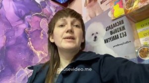 Обзор. Alleva НЕ холистик. Собаки.