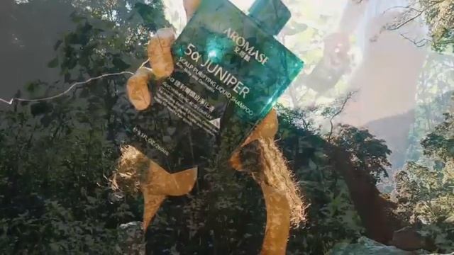 Best shampoo for oily scalp and outdoor activity-Aromase смотреть онлайн