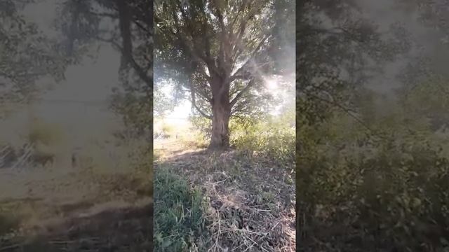 Татарская деревня Тубэн Якый...Азнакаевский район...Лето 2022г. смотреть онлайн