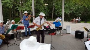 "Маленький цветок" - оркестр "Звезды ретро"