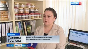 В Белгородском филиале центра оценки качества зерна приступили к мониторингу нового урожая