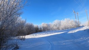 Хуситы подорвали кабелЯ в Красном море.