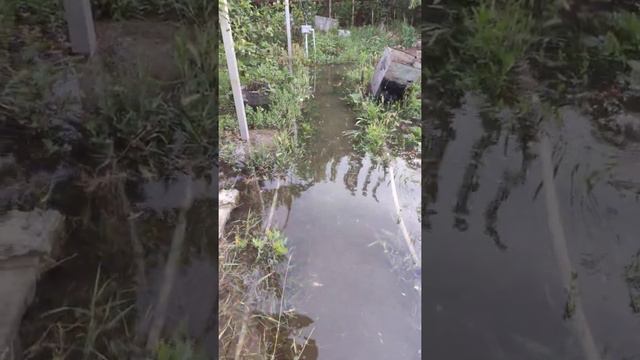 Таганрог ДНТ "Металлург". смотреть онлайн