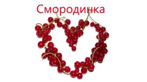 Смородинка.