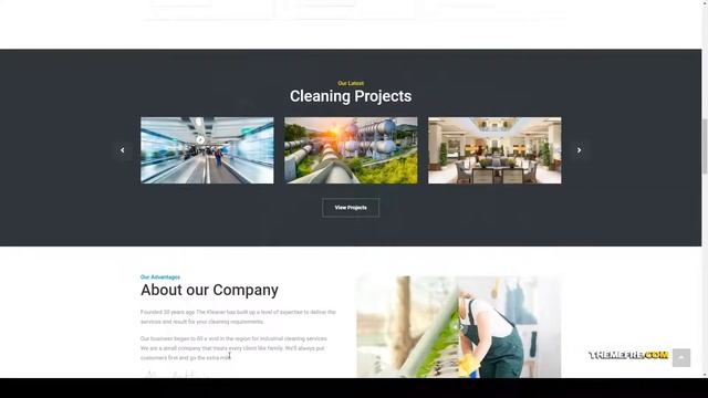 The Kleaner - Industrial Cleaning Company WordPress Theme janitor handyman Easy Create Website смотреть онлайн