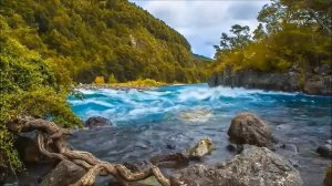 Евангелие от Иоанна. Текст читает Бондаренко