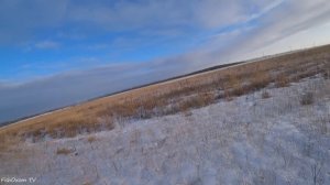 ПОДНЯЛСЯ на 50 МЕТРОВ! ПОПАДУ? Охота на зайца зимой 2024 троплением по снегу.