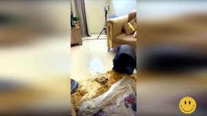 Приколы и смешные фейлы - выпуск #2