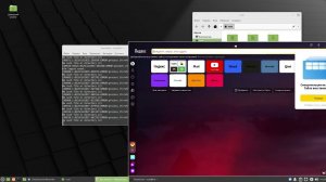 LinuxMint 20 3 После установочная настройка и установка ПО скрипт