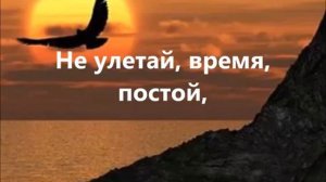 Время как быстрая птица... Христианская песня