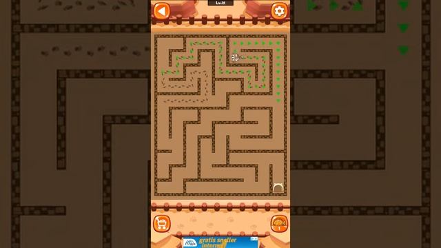 Maze Cat Rookie Level 21