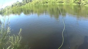 ЛОВЛЯ ОКУНЯ НАХЛЫСТОМ