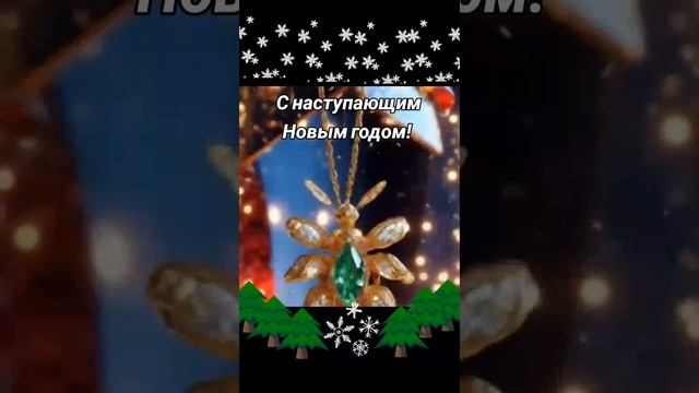 1000026564.mp4