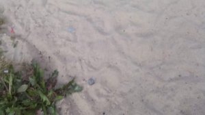 футбол |  ИНДИЯ vs КИТАЙ         китай 2024