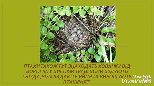 природне угруповання луки смотреть онлайн