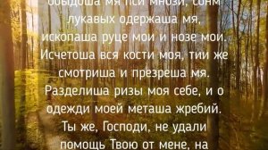 Прямо сейчас! Всего 2 Минуты помогут избежать опасностей...