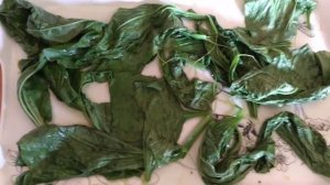 Сладости  из свежей мяты на зиму. Просто, быстро, необычно.