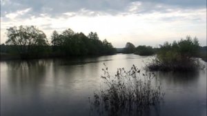 Река Тырница, Рязанская область 08.05.2012