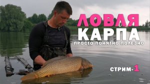 Как ловить карпа ВСЕГДА и с легкостью. Ответы на ваши вопросы. Карпфишинг
