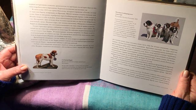 Спасатели. «Боги, люди, CОБАКИ» авторы Н.Голь, И.Мамонова, М.Халтунен. Оформление О.В.Пена. смотреть онлайн