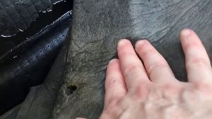 Вода в салоне после решения проблемы с жабрами выдува. [Ford Focus 3 хетчбек]