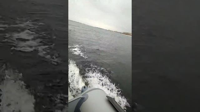 Звезда 300 лайт, с короткими булями, +суза 6 смотреть онлайн