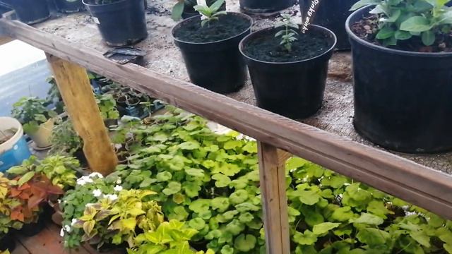 Яндекс дзен. Приглашаем!!! смотреть онлайн