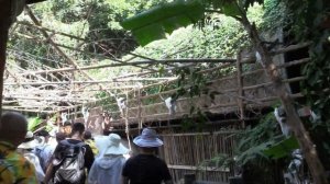 ДЕРЕВНЯ НАРОДНОСТЕЙ ЛИ И МЯО (2). Рetkiller о Sanya Li and Miao Village, Hainan, China