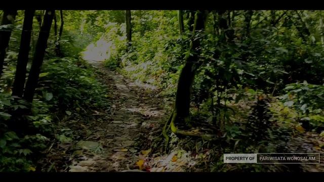 EXTREME ROAD TO TRETES WATERFALL FOR WONOSALAM TEACHING, Jombang, East Java, INDONESIA смотреть онлайн