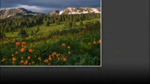 СЛАЙД-ШОУ ПРИРОДА ПЕЙЗАЖИ СИБИРИ