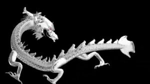 Dragon видео для 3d голограммы