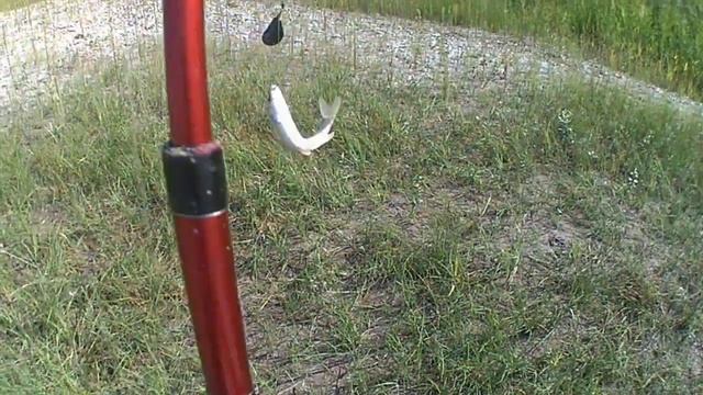 Выходной на речке смотреть онлайн