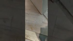 Как поменять ламинат не разбирая ее полностью.