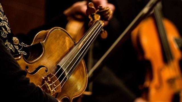 Kingdom Dance - Tangled | Violin Cover By Dr. Lakshmi Muthukumar