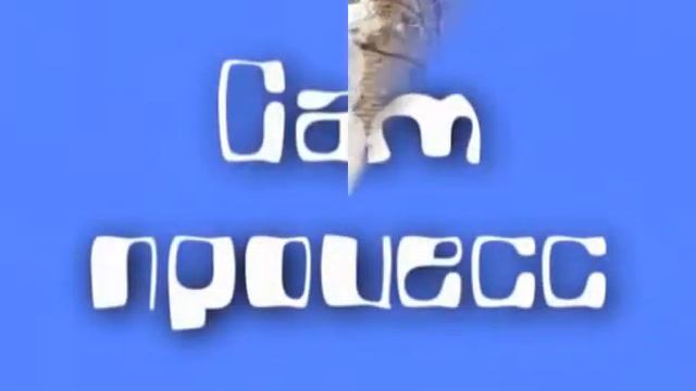 Как в Николаеве сделали снежную овечку - символ 2015 года смотреть онлайн