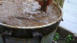 Как приготовить римский рыбный соус гарум (Garum)