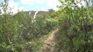 Ивановские озёра июнь 2020