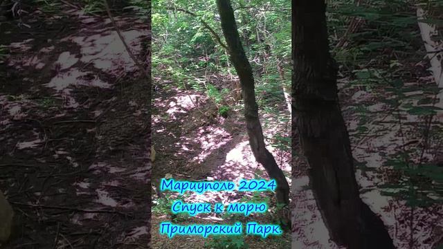 Мариуполь 2024 Спуск к морю Приморский Парк.