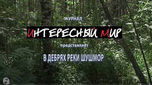 В дебрях реки Шушмор. Достопримечательности Шушмора.