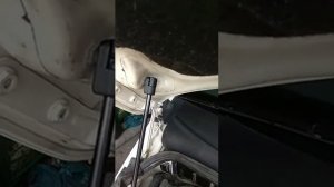Фольксваген т5 амортизатор капота