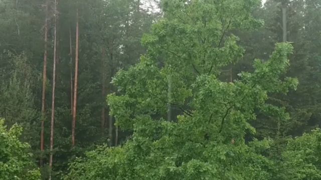 ЗВУКИ ДОЖДЯ И ГРОЗЫ ДЛЯ СНА И РЕЛАКСАЦИИ. Расслабляющие звуки дождя и грозы- релакс для Сна и Отдых смотреть онлайн