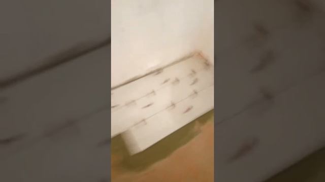 Правильная укладка плитки с помощью системы выравнивания плитки своими руками смотреть онлайн