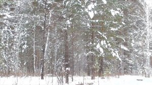 Краткий настрой на оздоровление почек
